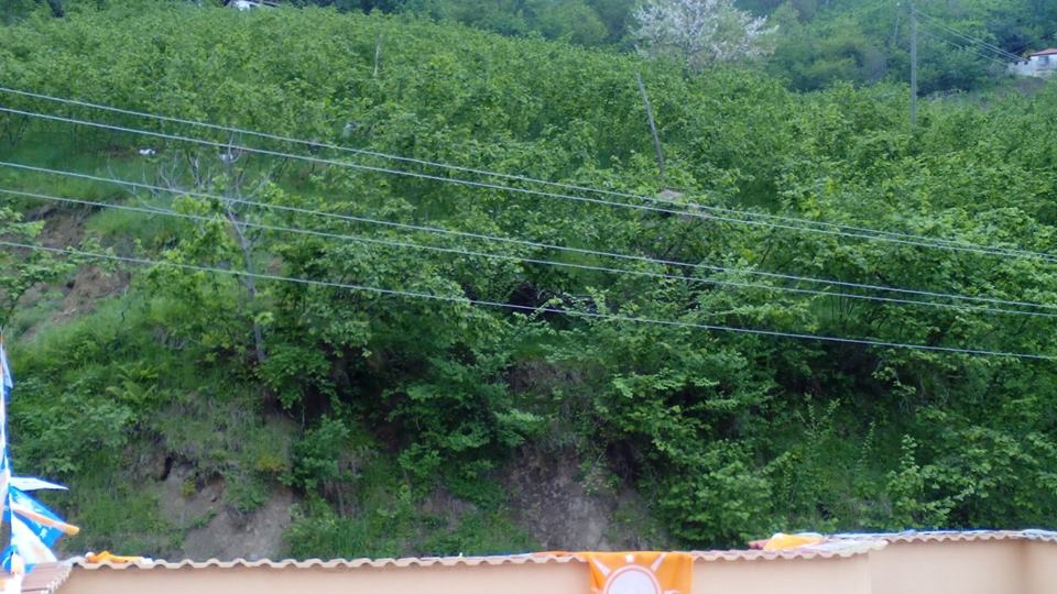 Beşikdüzü Yenicami Köyü Resimleri 15