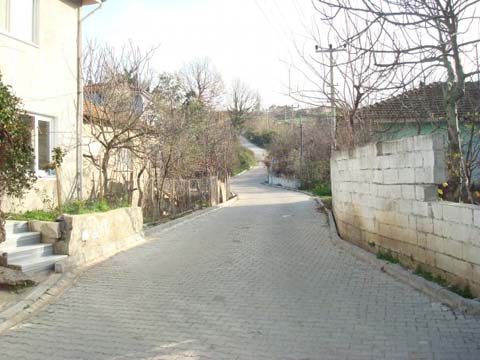 Yalova Kirazlı Köyü Resimleri 23