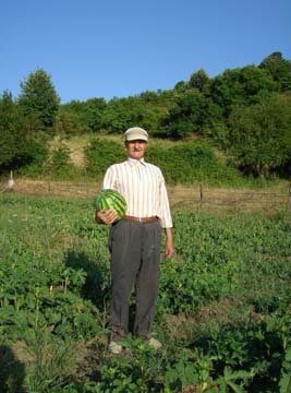 Yalova Kirazlı Köyü Resimleri 9