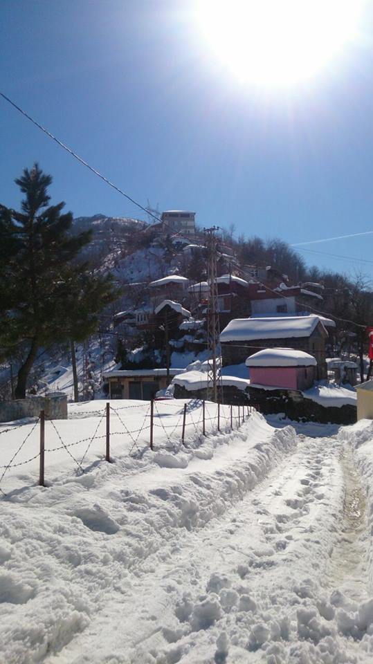 Beşikdüzü Yeşilköy Resimleri 12