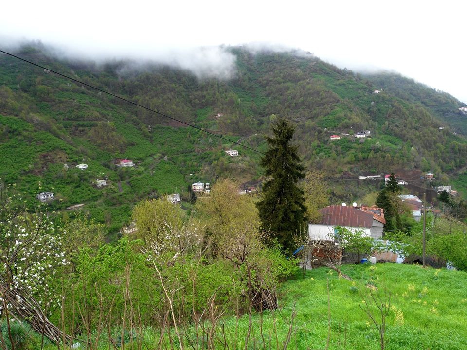 Beşikdüzü Yeşilköy Resimleri 14