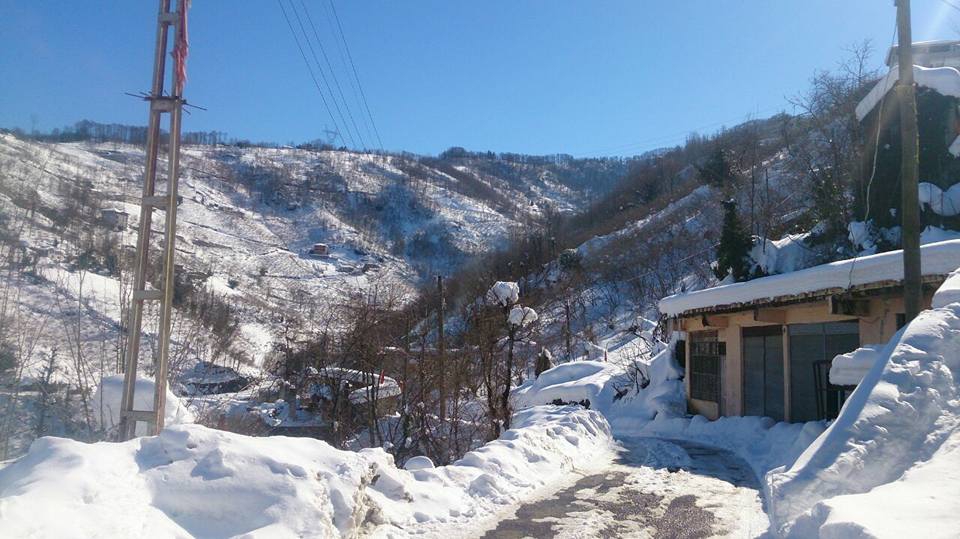 Beşikdüzü Yeşilköy Resimleri 16