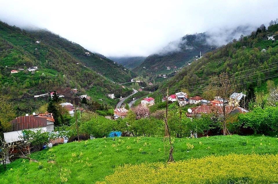 Beşikdüzü Yeşilköy Resimleri 19