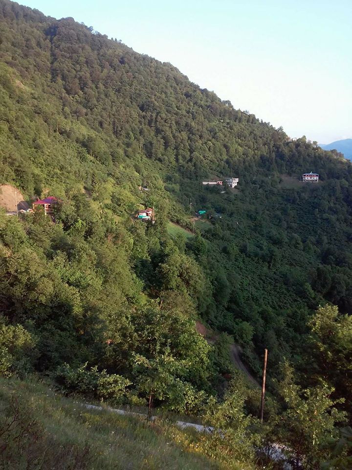 Beşikdüzü Yeşilköy Resimleri 2