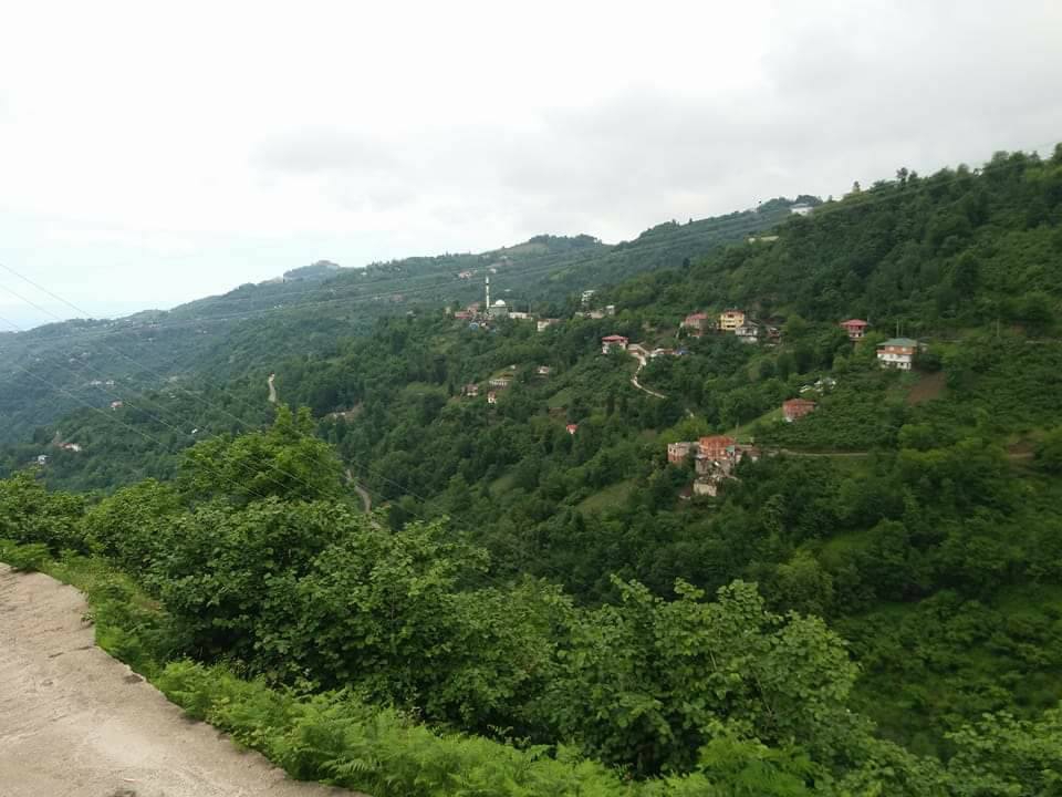 Beşikdüzü Yeşilköy Resimleri 20