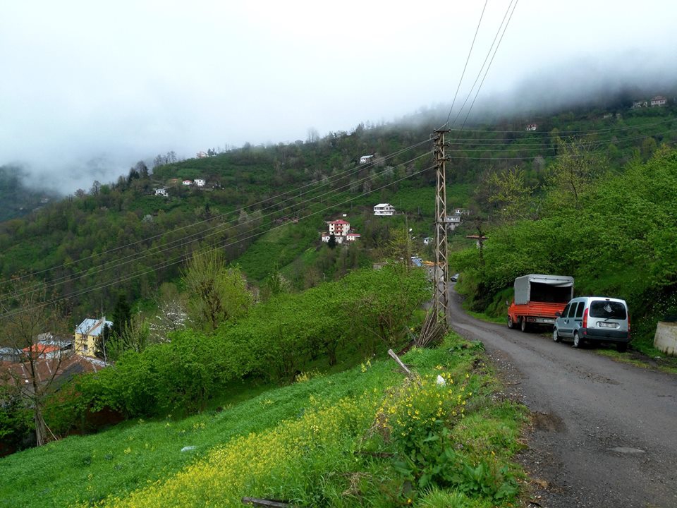 Beşikdüzü Yeşilköy Resimleri 24