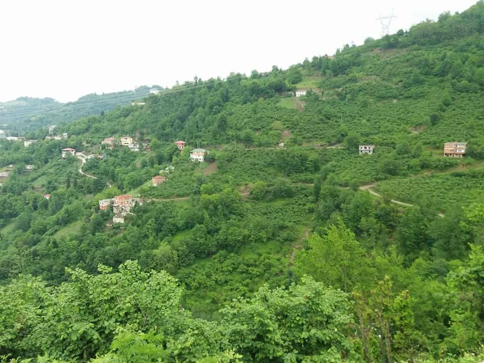 Beşikdüzü Yeşilköy Resimleri 3