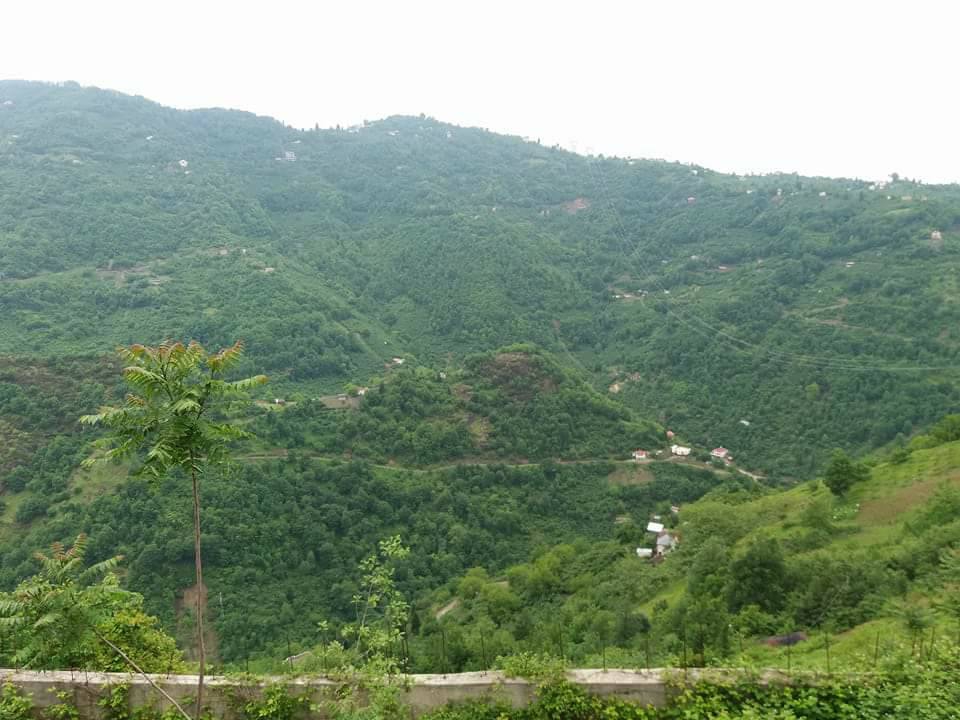 Beşikdüzü Yeşilköy Resimleri 5