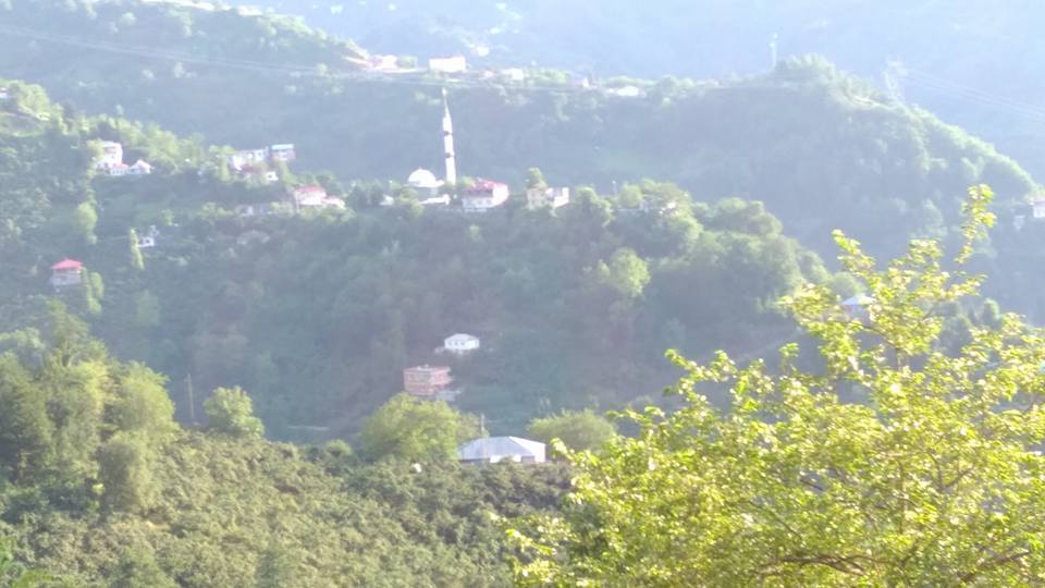 Beşikdüzü Yeşilköy Resimleri 8