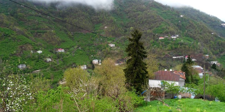 Beşikdüzü Yeşilköy Resimleri