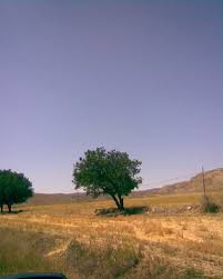 Delice Herekli Köyü Resimleri 9