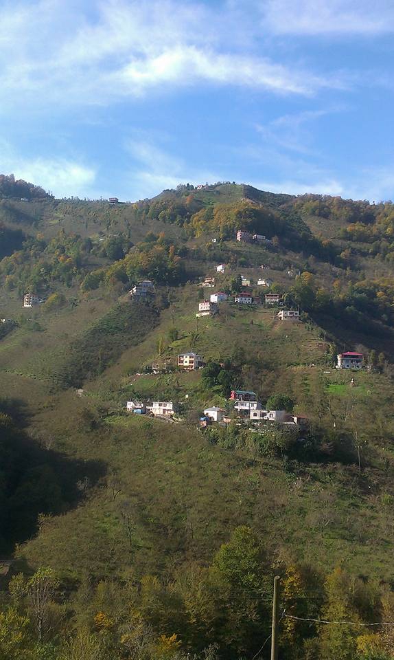 Çarşıbaşı Çallı Köyü Resimleri 3