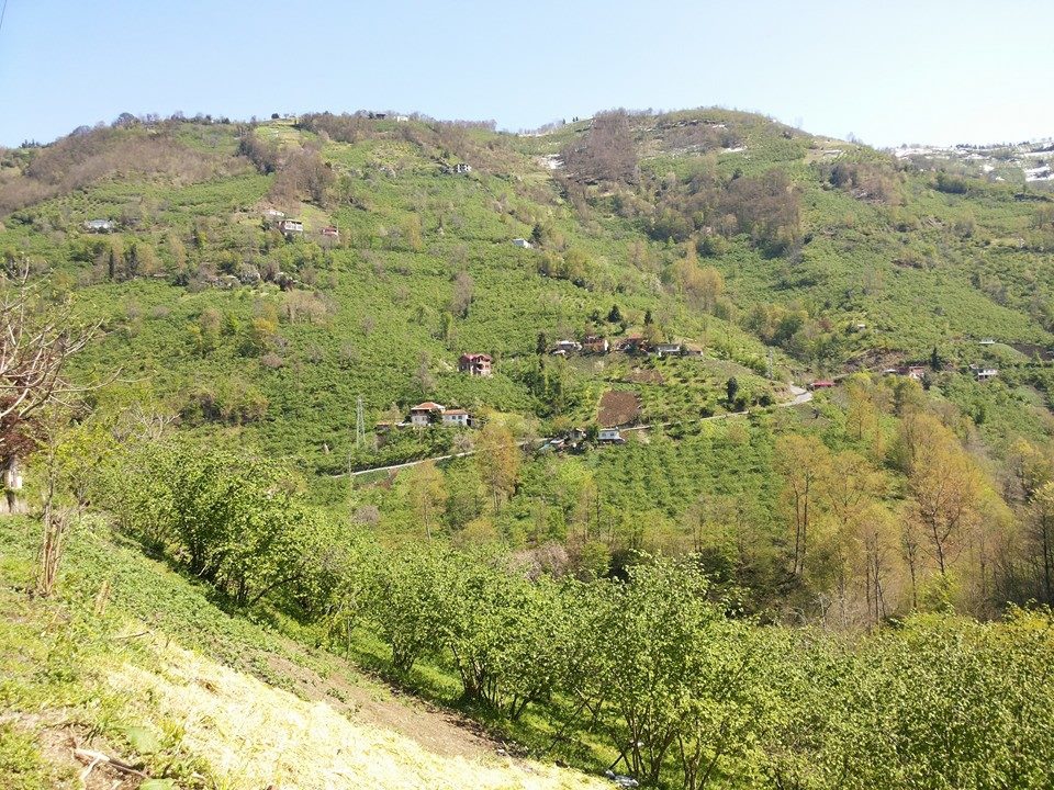 Çarşıbaşı Çallı Köyü Resimleri 5