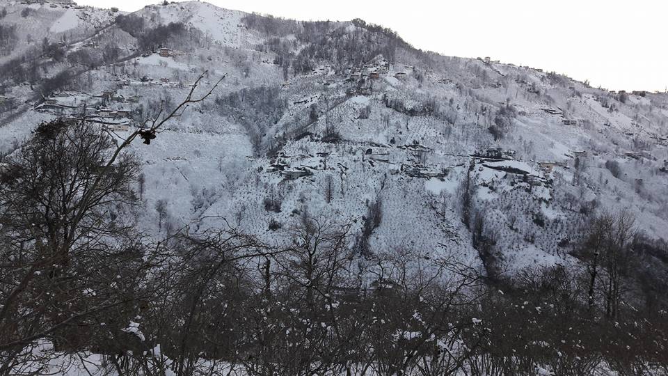 Çarşıbaşı Çallı Köyü Resimleri 6
