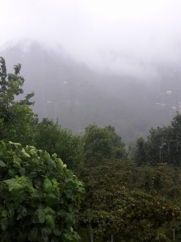 Çarşıbaşı Çallı Köyü Resimleri 7