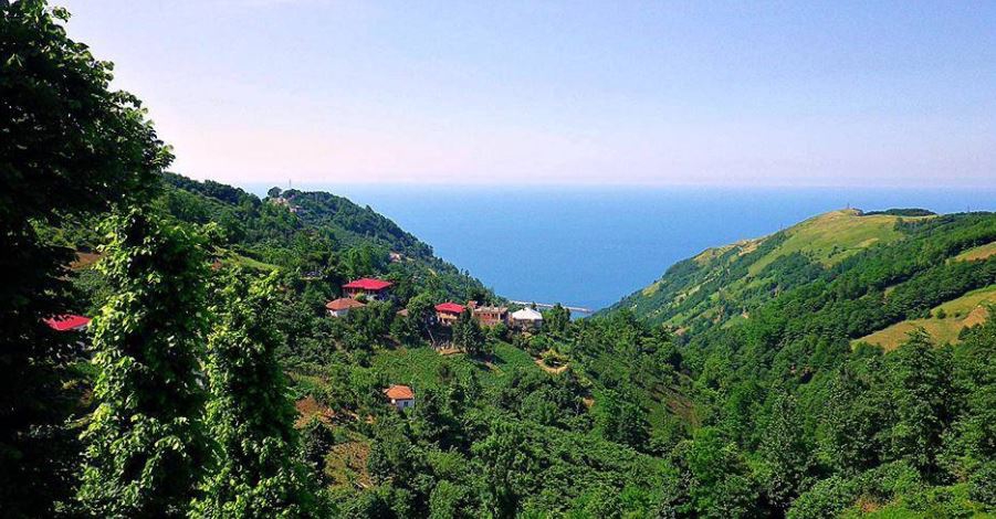 Çarşıbaşı Fenerköy Resimleri 12