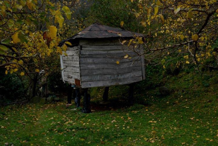Çarşıbaşı Fenerköy Resimleri 20