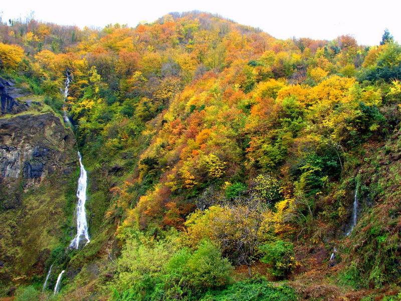 Çarşıbaşı Fenerköy Resimleri 21