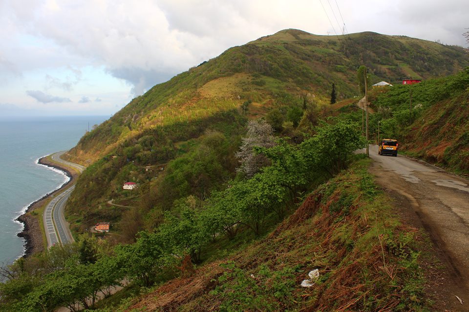 Çarşıbaşı Fenerköy Resimleri 22