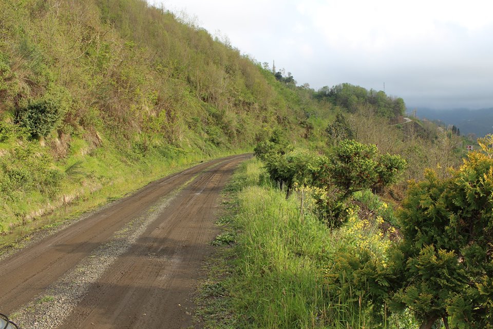Çarşıbaşı Fenerköy Resimleri 24