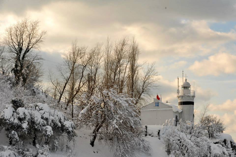 Çarşıbaşı Fenerköy Resimleri 26