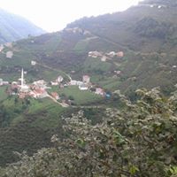 Güce Boncukçukur Köyü Resimleri 1