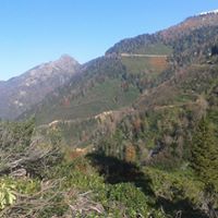 Güce Boncukçukur Köyü Resimleri 11