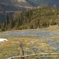 Güce Boncukçukur Köyü Resimleri 7