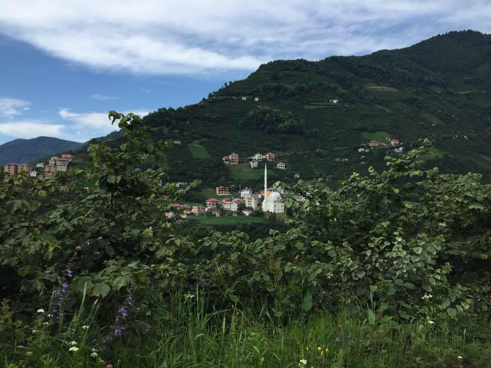 Güce Düzçukur Köyü Resimleri 1