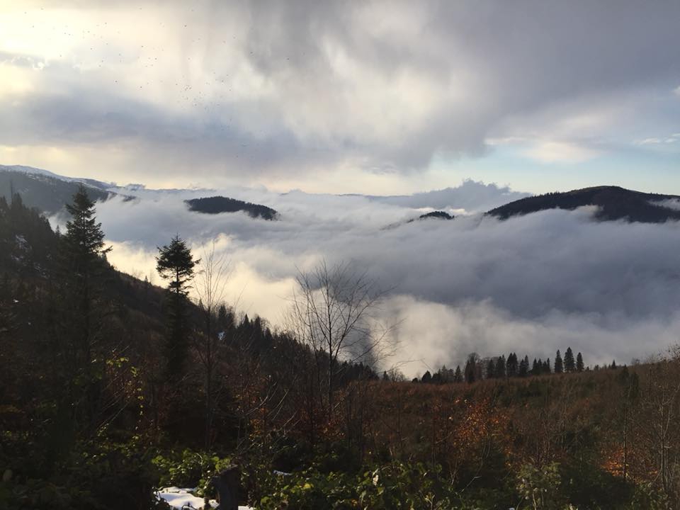 Güce Düzçukur Köyü Resimleri 15