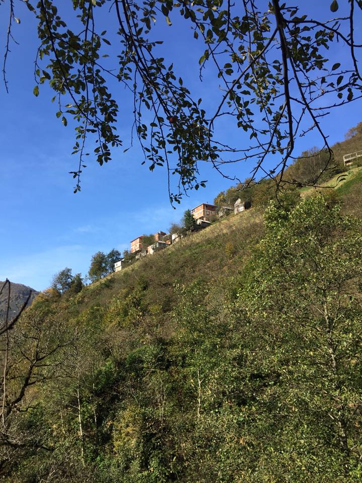 Güce Düzçukur Köyü Resimleri 17