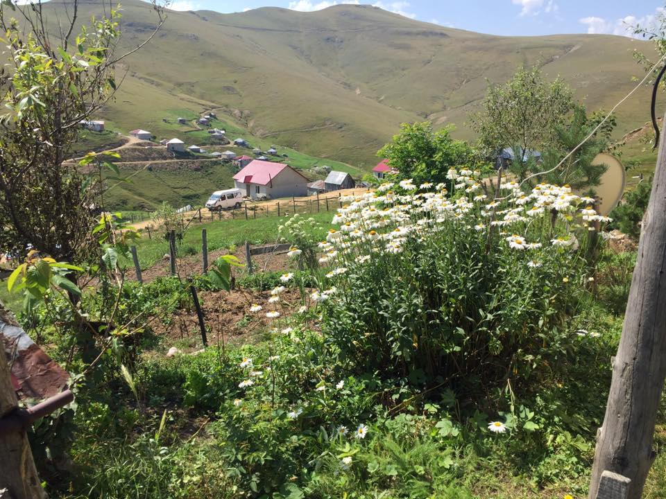 Güce Düzçukur Köyü Resimleri 5