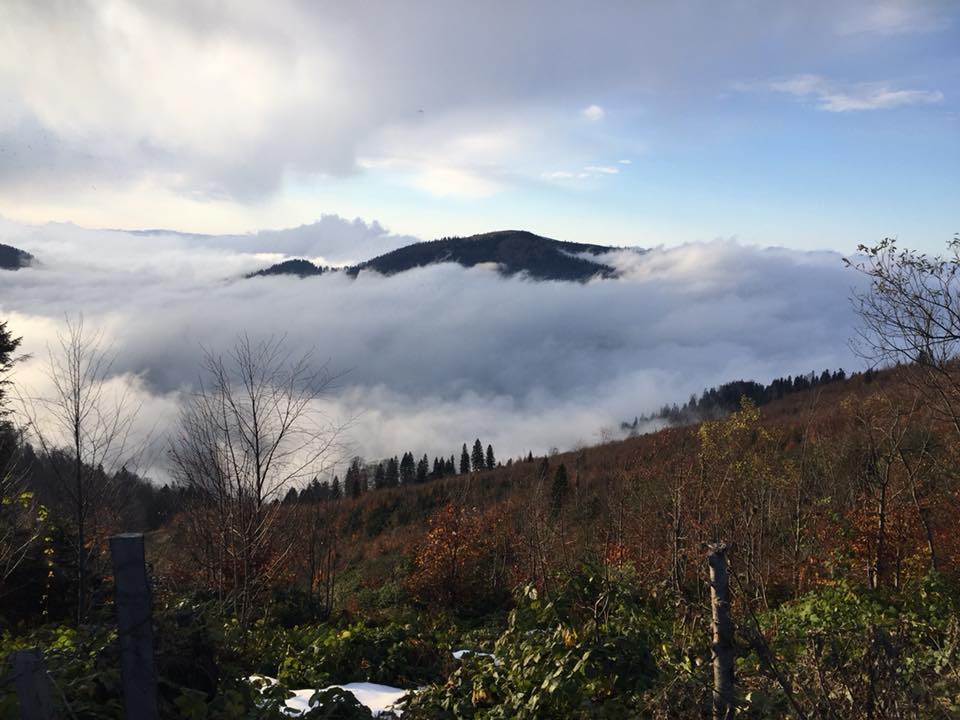 Güce Düzçukur Köyü Resimleri 9