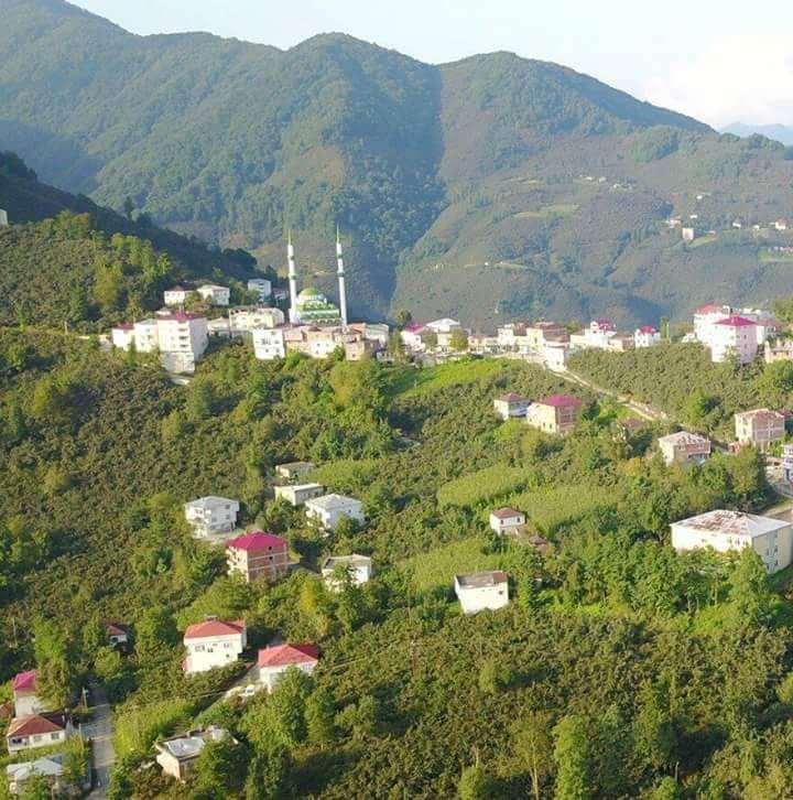 Güce İlit Köyü Resimleri 6