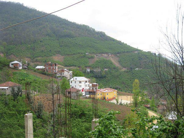 Güce Kuluncak Köyü Resimleri 1