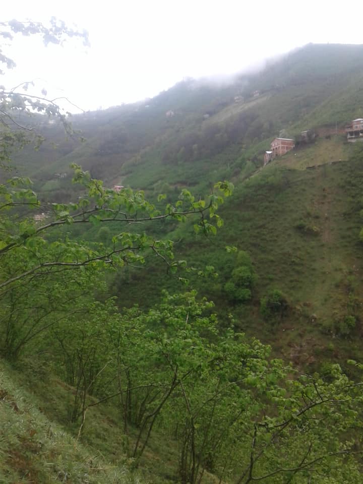 Güce Kuluncak Köyü Resimleri 10