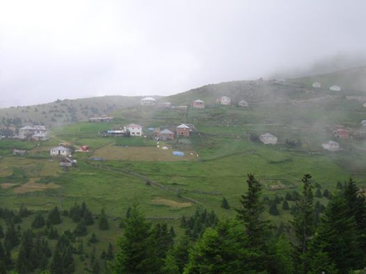 Güce Kuluncak Köyü Resimleri 2