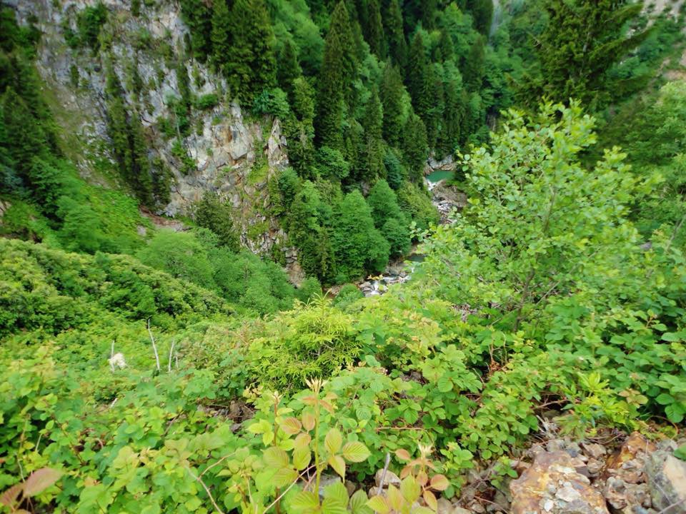 Güce Kuluncak Köyü Resimleri 3