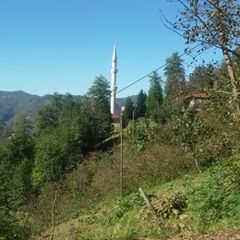 Güce Kuluncak Köyü Resimleri 4