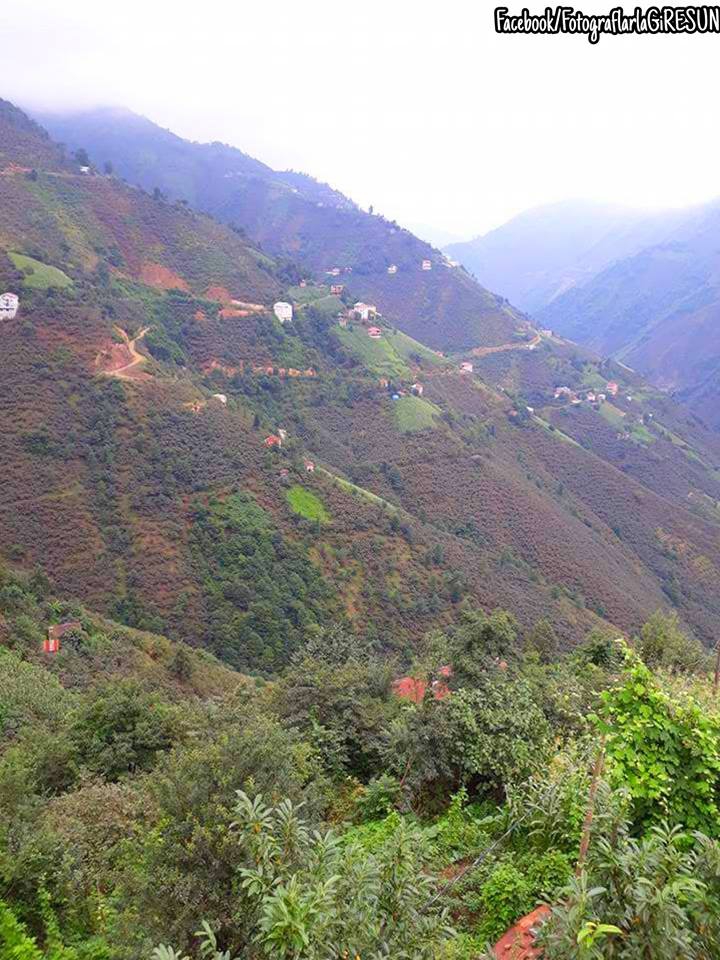 Güce Kuluncak Köyü Resimleri 7