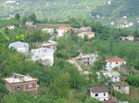 Güce Örnekköy Köyü  Resimleri 1