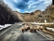 Güce Soğukpınar Köyü Resimleri 2