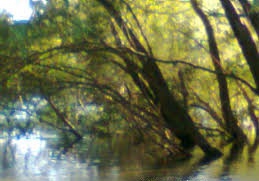 Karakeçili Akkoşan Köyü Resimleri 1