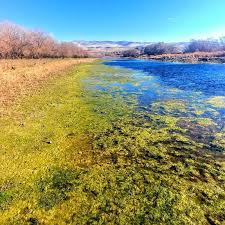 Karakeçili Akkoşan Köyü Resimleri 4