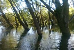 Karakeçili Akkoşan Köyü Resimleri 6