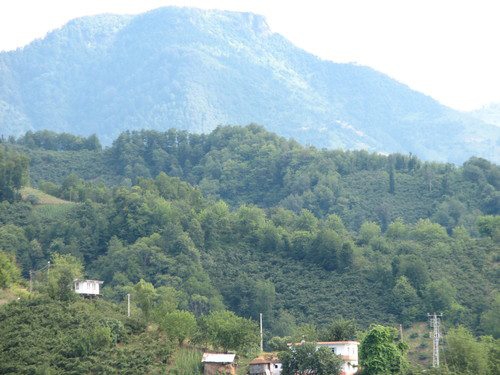 Çarşıbaşı Kaleköy Resimleri 1