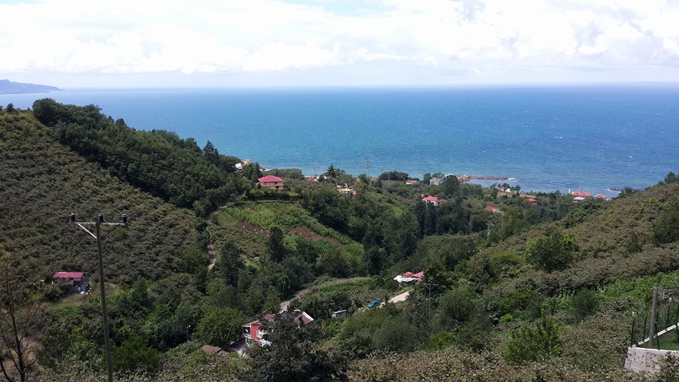 Çarşıbaşı Kaleköy Resimleri 10