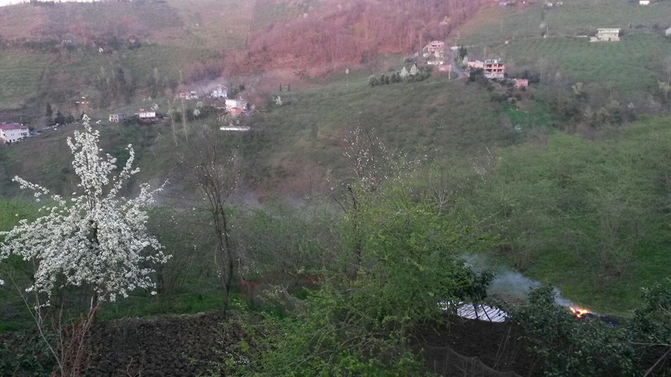 Çarşıbaşı Kaleköy Resimleri 12