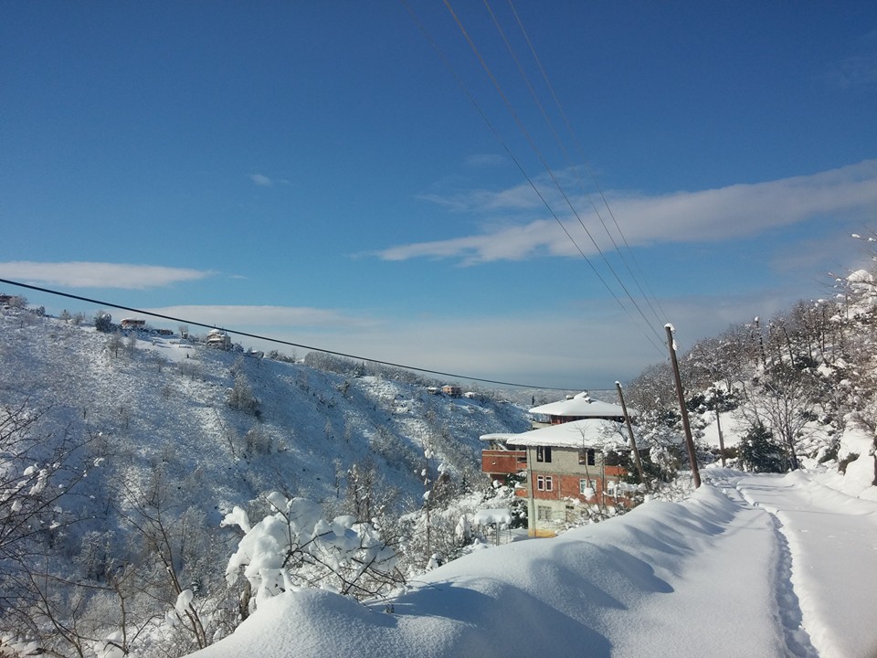 Çarşıbaşı Kaleköy Resimleri 16