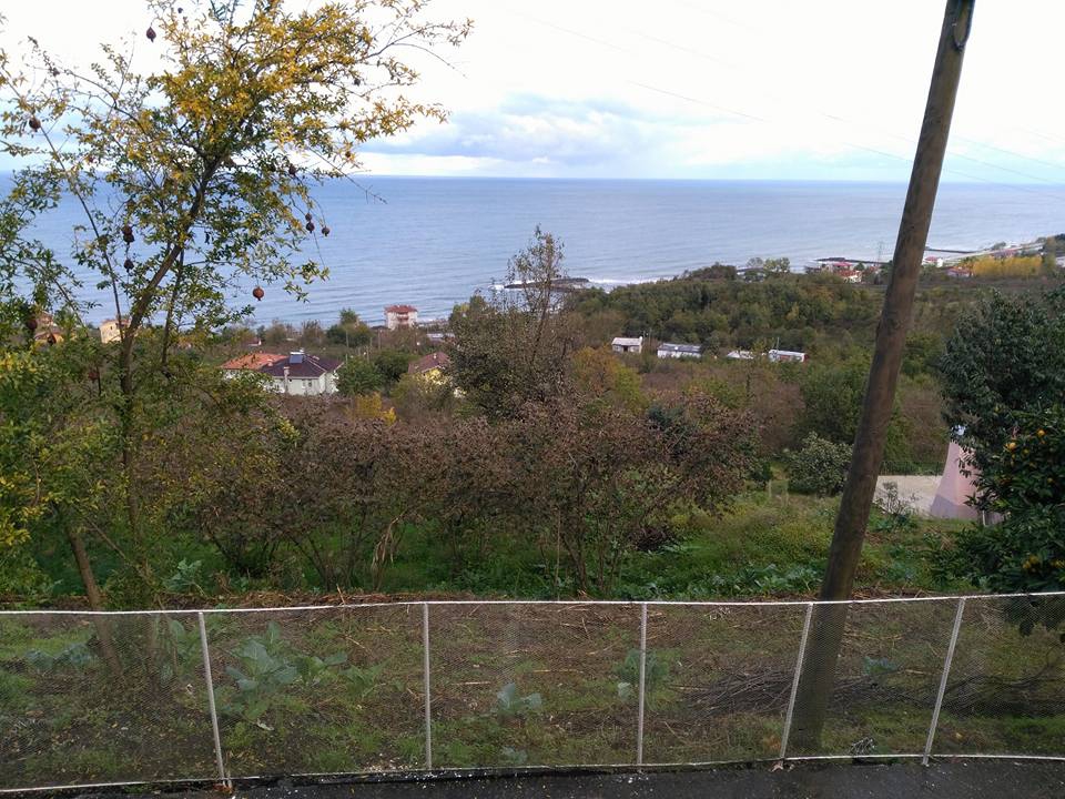 Çarşıbaşı Kaleköy Resimleri 8